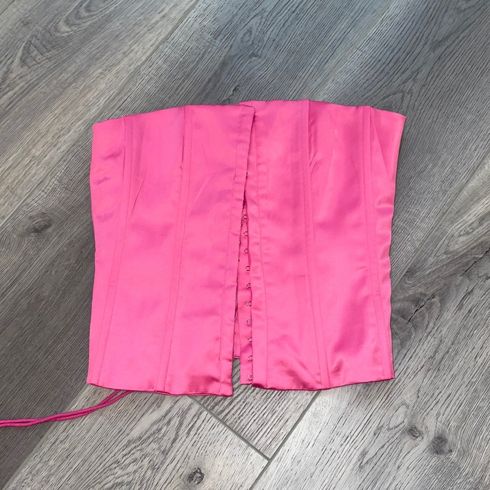 Danielle Guizio corset